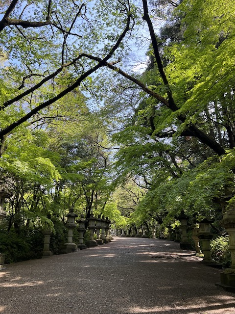 香取神宮の道