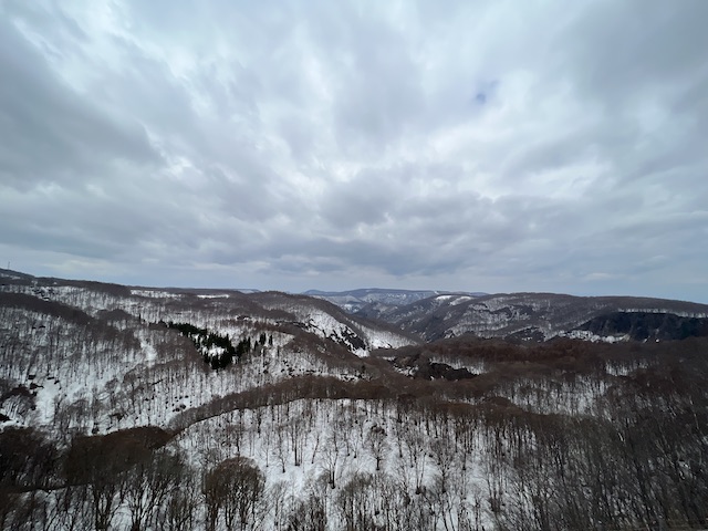 十和田付近の山の景色