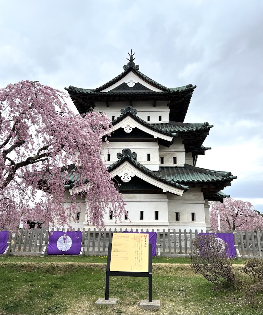 弘前城と桜