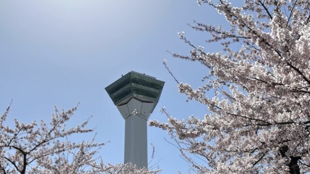 五稜郭タワーと桜