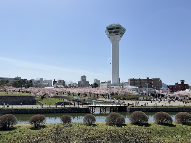 春の五稜郭