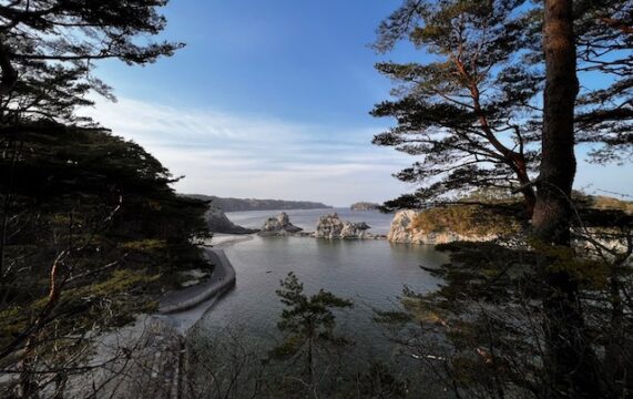 浄土ヶ浜を見下ろした景色