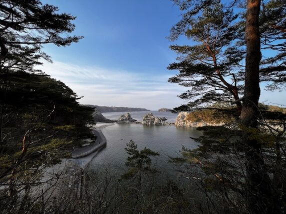 浄土ヶ浜を見下ろした景色